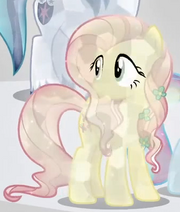 S03E02 Kryształowa Fluttershy