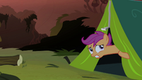 Scootaloo peeking out of tent S3E6