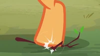 Scootaloo steps on a twig S7E16.png (487 KB)