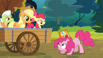 Scrapbook going into Pinkie's mane S4E09