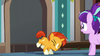 Sunburst drops down S5E26