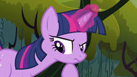 Twilight not now S3E9