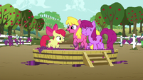 Apple Bloom and ponies stomping on a tub of grapes S6E4