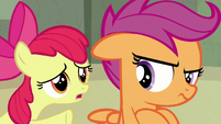 Apple Bloom giving Sweetie's message to Scootaloo S8E6