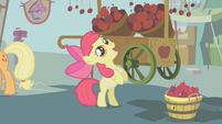 Apple Bloom looks up at an apple S1E12