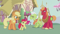 Apple Bloom thanking Applejack S5E18