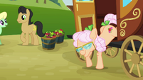 Apple Rose coming out from the carriage S3E08