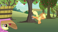 Applejack bucking another apple tree S7E9