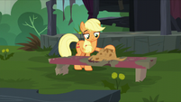 Applejack puts her hat on a bench S5E16