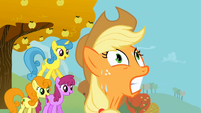 Applejack strains herself S1E13