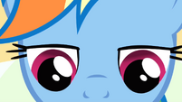 Closeup on Rainbow Dash's face while she is reading S2E16