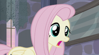 Fluttershy "I think they're nice" S5E02