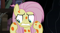 Fluttershy covered in orange spots S7E20