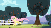 Fluttershy runs away from the seeds being spat on her S4E07