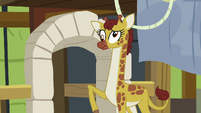 Giraffe dizzy S7E5