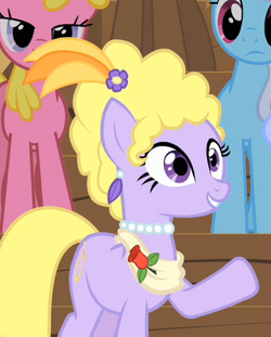 My Little Pony Friendship is Magic, My Little Pony Friendship is Magic  Wiki