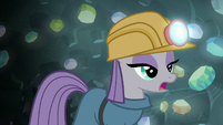 Maud Pie "that's actually a really common gem" S7E4