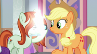 Photographer taking Applejack's picture S8E13