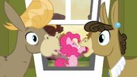 Some privacy please Pinkie?