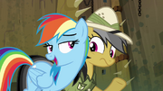 Rainbow Dash "you're lucky I don't" S4E04