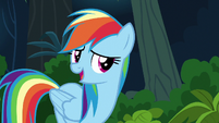 Rainbow Dash --I'm not the one who can-- S6E13