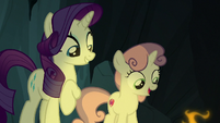 Rarity and Sweetie Belle look at the campfire S7E16