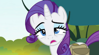 Rarity dizzy -what happened-- S4E23