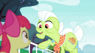 S04E20 Rozmowa Babci z Apple Bloom