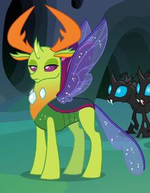 Thorax.jpg