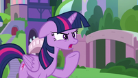 Twilight "friendship isn't just for ponies" S8E1