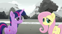 Twilight and Fluttershy looking confused MLPRR
