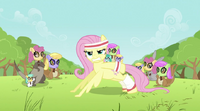 717px-Fluttershy Pushup S02E22