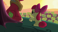 Apple Bloom "I just don't understand why" S5E17