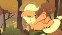 Blame those who set up the running but forget to remove obstacle on route, Applejack.