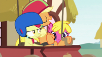 Applejack lounging in the driver's seat S6E14