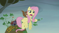 Fluttershy addresses the Hooffields and McColts S5E23