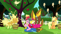 Pinkie pops apples in Apple family's faces S8E18