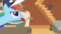 Rainbow Dash as if S2E22