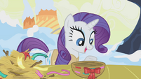 Rarity explaining the birds' nests S1E11