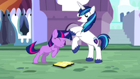 Twily's Big Brother Best Friend Forever.