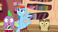 Spike, Rainbow and Owlowiscious playing around S4E21