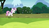 Sweetie Belle angrily walking down a road S7E6