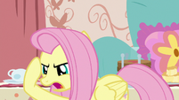 Fluttershy -what would Discord do-- S7E12