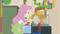 Fluttershy cleaning habitat EG2.jpg (45 КБ)