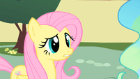 Fluttershy in front of Princess Celestia S1E22