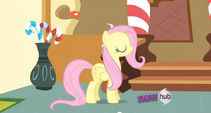 Fluttershy standing happily S2E19