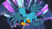 Gallus in a shrinking chamber S8E22