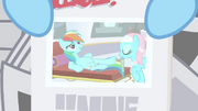 Rainbow Dash newspaper entry S2E23