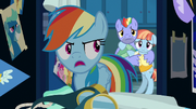 Rainbow Dash tells her parents to leave S7E7