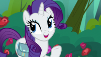 Rarity "I used to overpack a tad" S8E13
